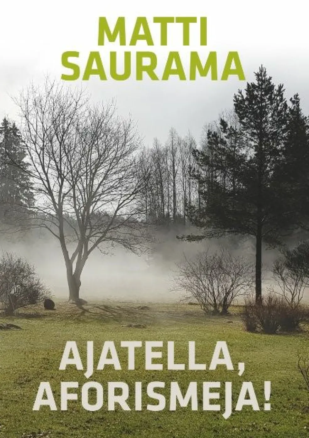 Ajatella, aforismeja!