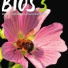 Bios 3 (LOPS21)