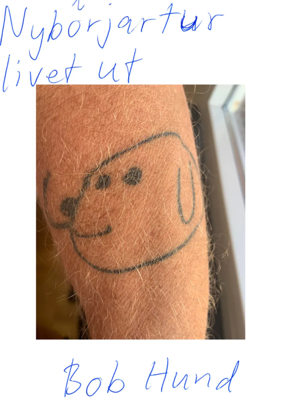 Bob Hund : nybörjartur livet ut