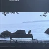 Dikter
