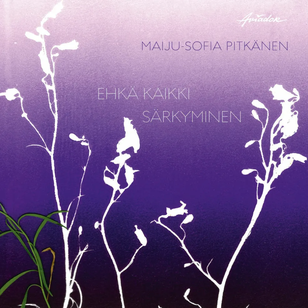 Ehkä kaikki särkyminen