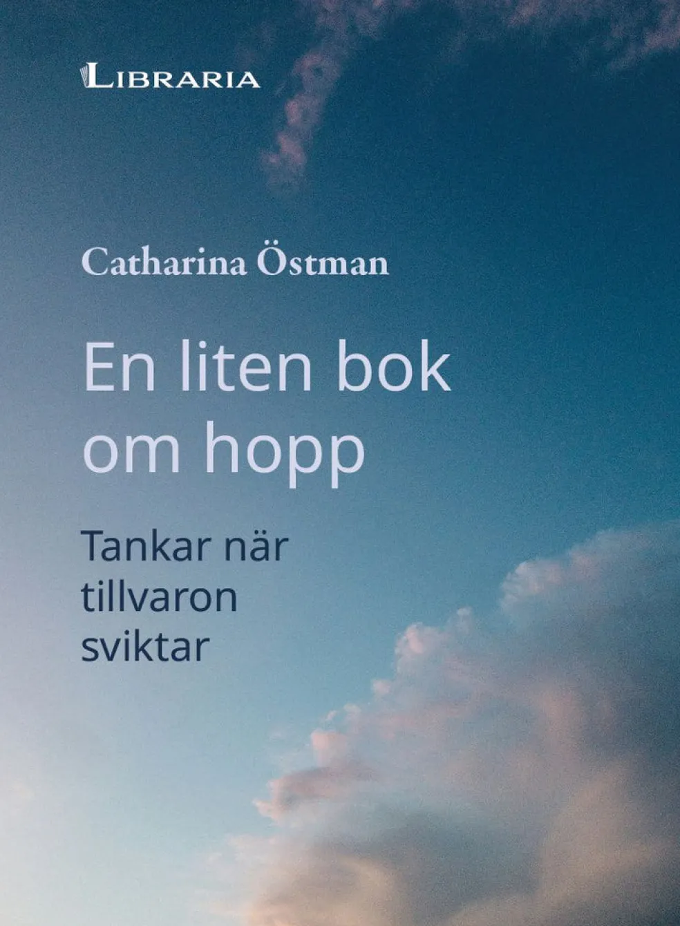 En liten bok om hopp