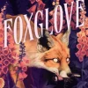 Foxglove