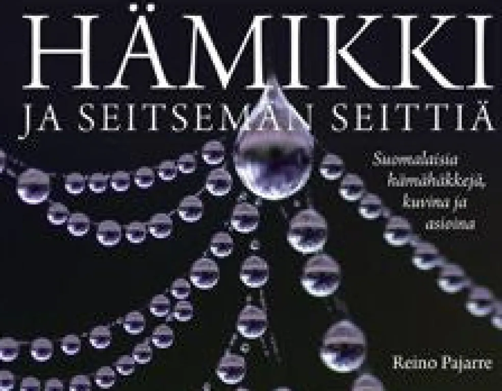 Hämikki ja seitsemän seittiä