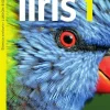 Iiris 1 (LOPS21)