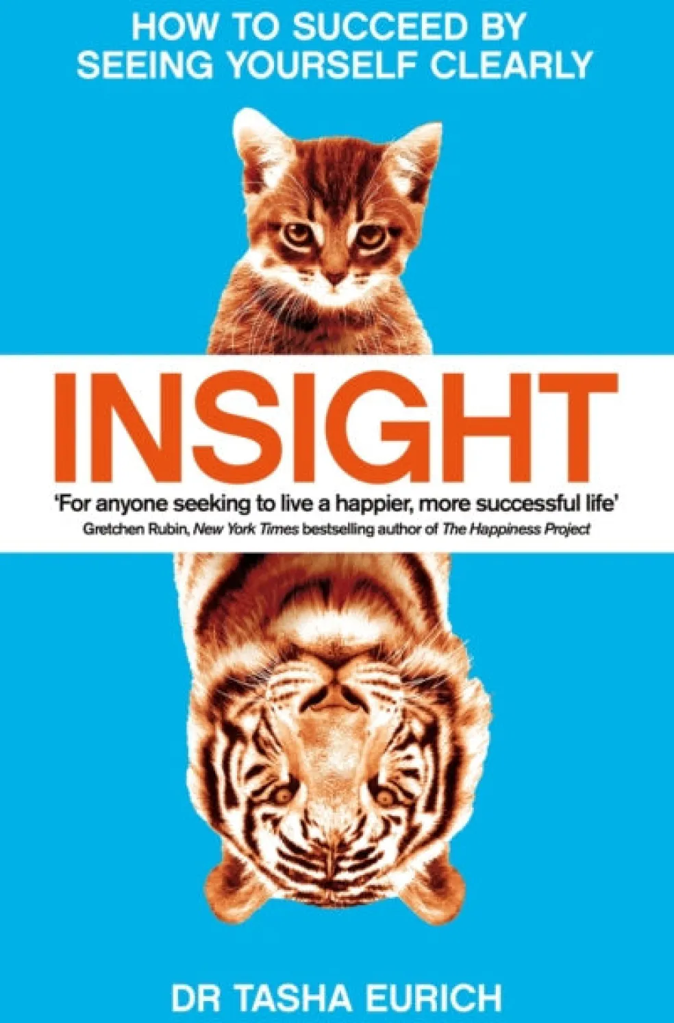 Insight