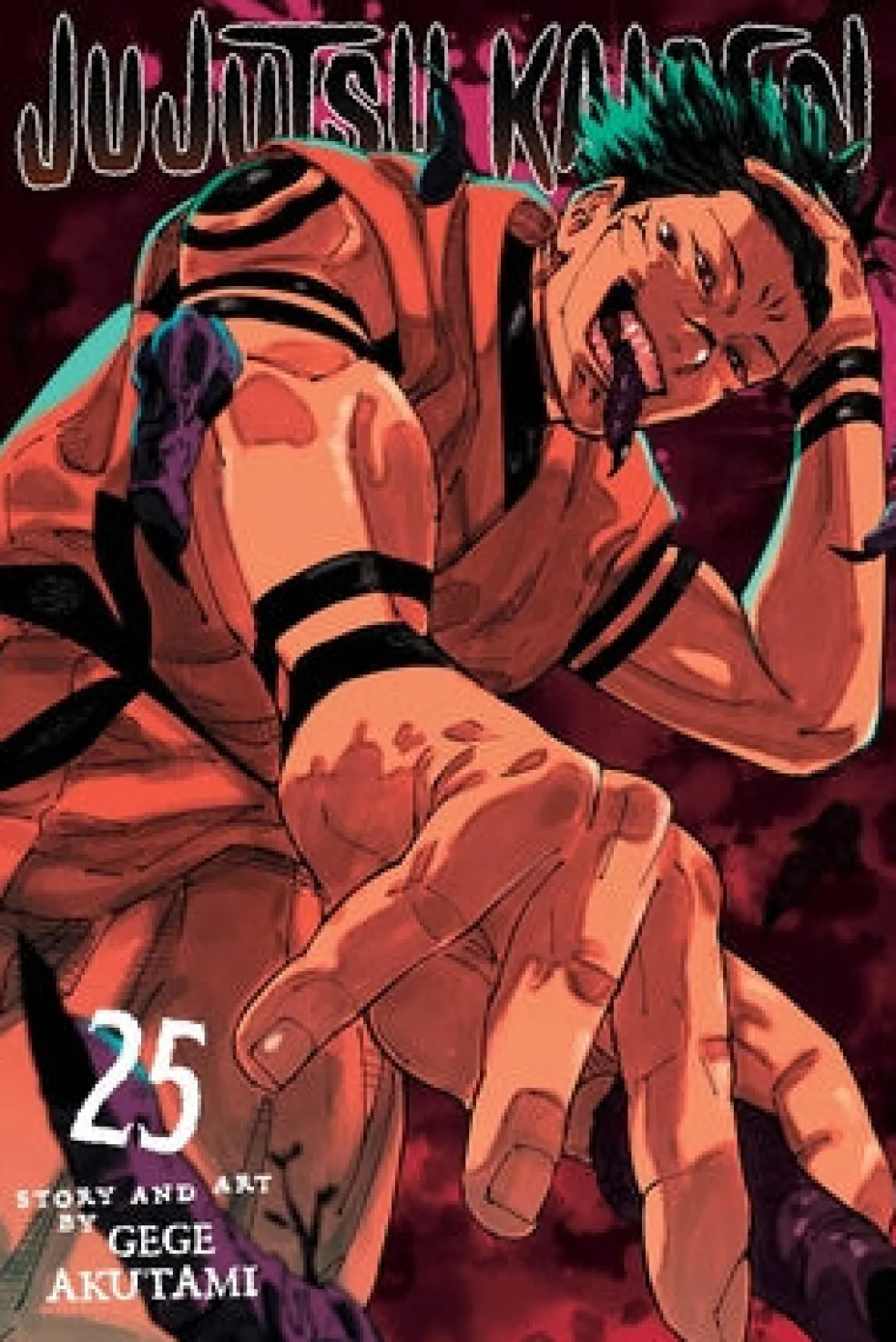 Jujutsu Kaisen, Vol. 25