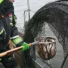 Kalastajien kyydissä Itämerellä