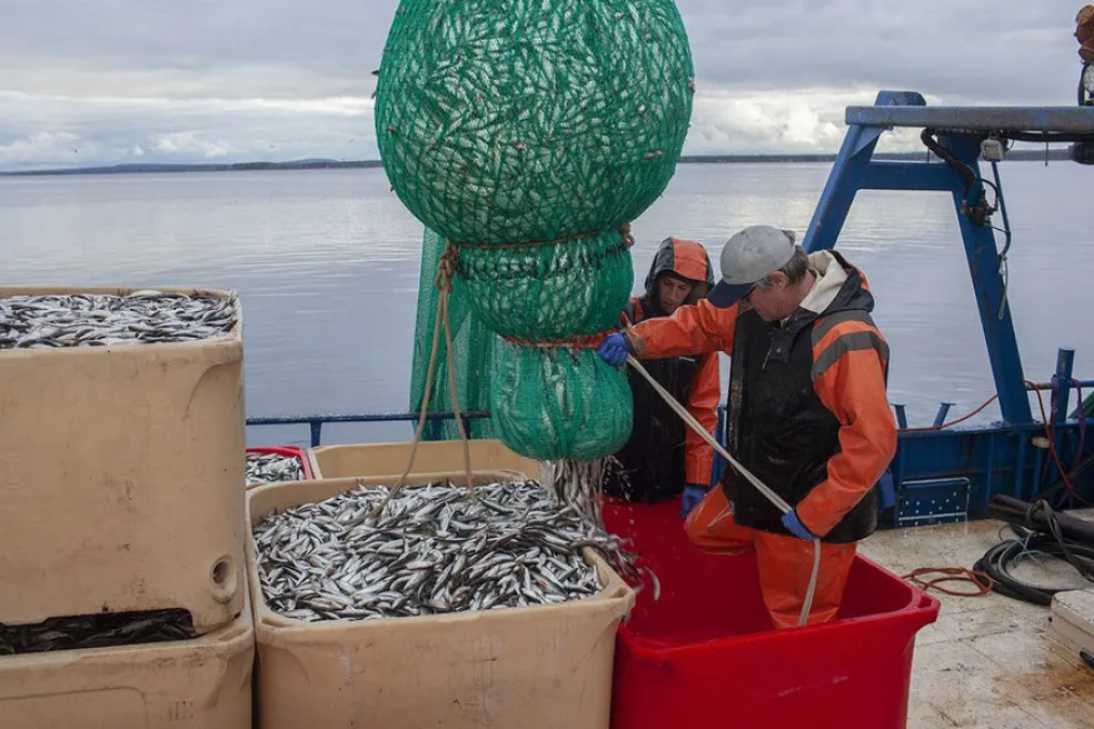 Kalastajien kyydissä Itämerellä