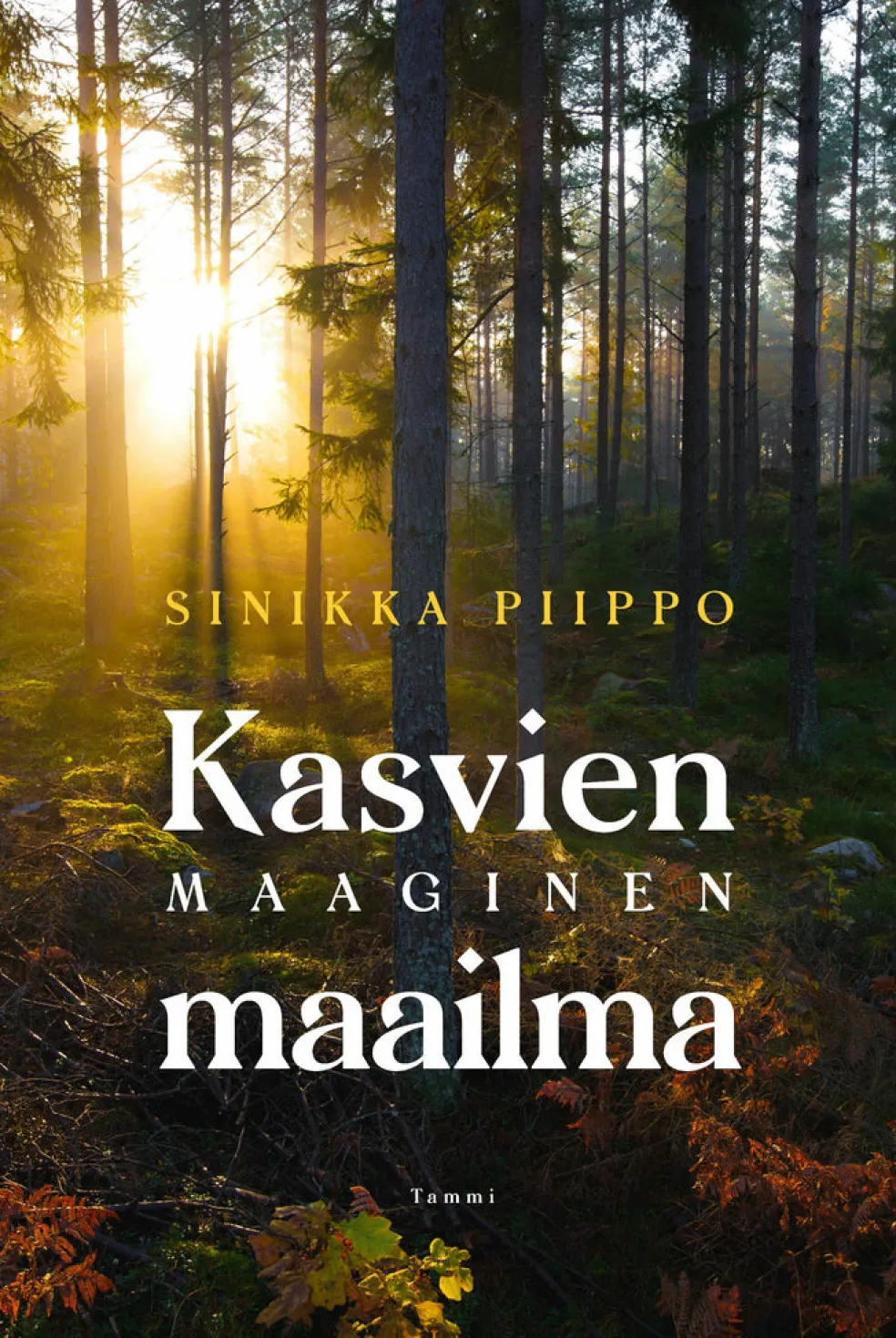 Kasvien maaginen maailma