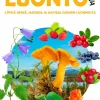 Lasten luontokirja - Löydä sieniä, marjoja ja kasveja Suomen luonnosta