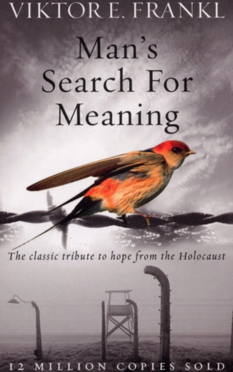 Man's Search For Meaning