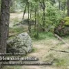 Mennään metsään (selkokirja)