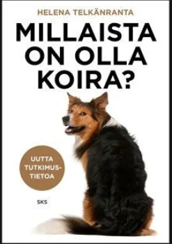 Millaista on olla koira?