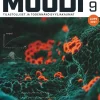 Moodi Lyhyt MAB9 (LOPS21)