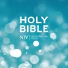 NIV Popular Hardback Bible