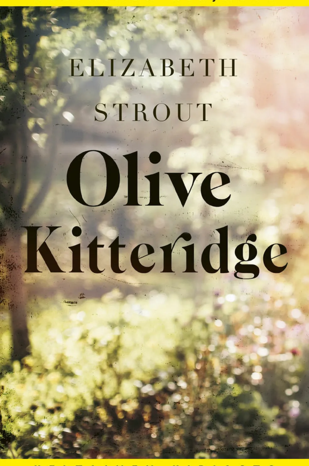 Olive Kitteridge