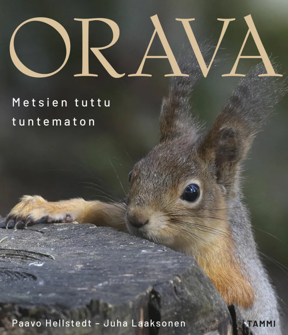 Orava