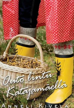 Outo lintu Katajamäellä