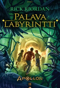 Palava labyrintti