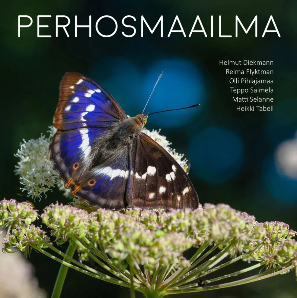 Perhosmaailma