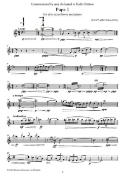 Piilo - Nykymusiikkia ja improvisaatioharjoituksia alttosaksofonille