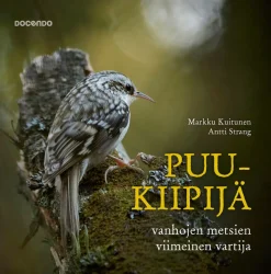 Puukiipijä