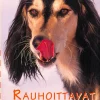 Rauhoittavat signaalit