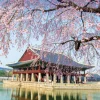 Rough Guide to Korea: Travel Guide with eBook, The