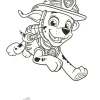 Ryhmä Hau - Paw Patrol Dino Rescue värityskirja tarroilla