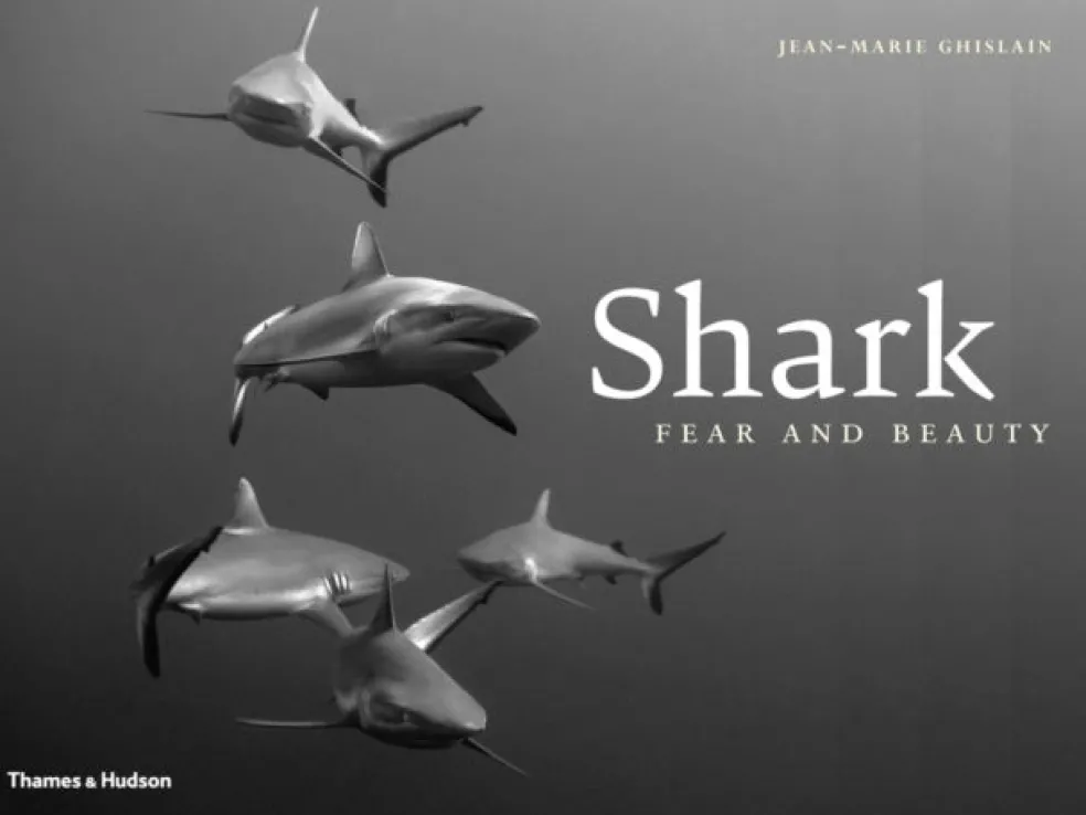 Shark