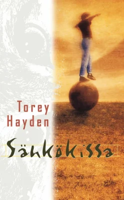 Sähkökissa
