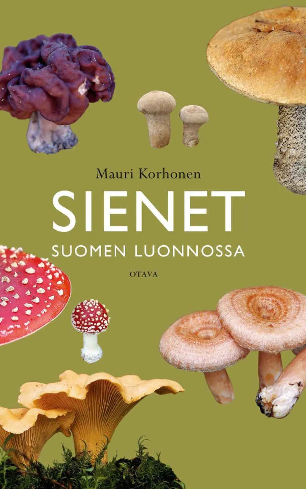 Sienet Suomen luonnossa