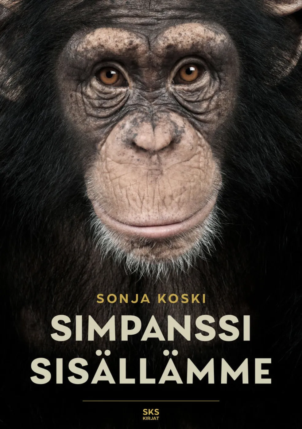 Simpanssi sisällämme