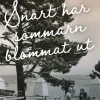 Snart har sommarn blommat ut