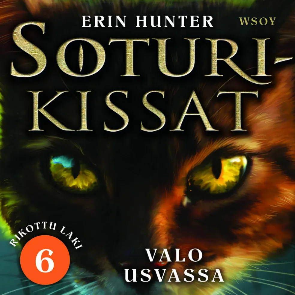 Soturikissat: Rikottu laki 6: Valo usvassa