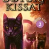 Soturikissat: Tähdetön klaani 2: Taivas