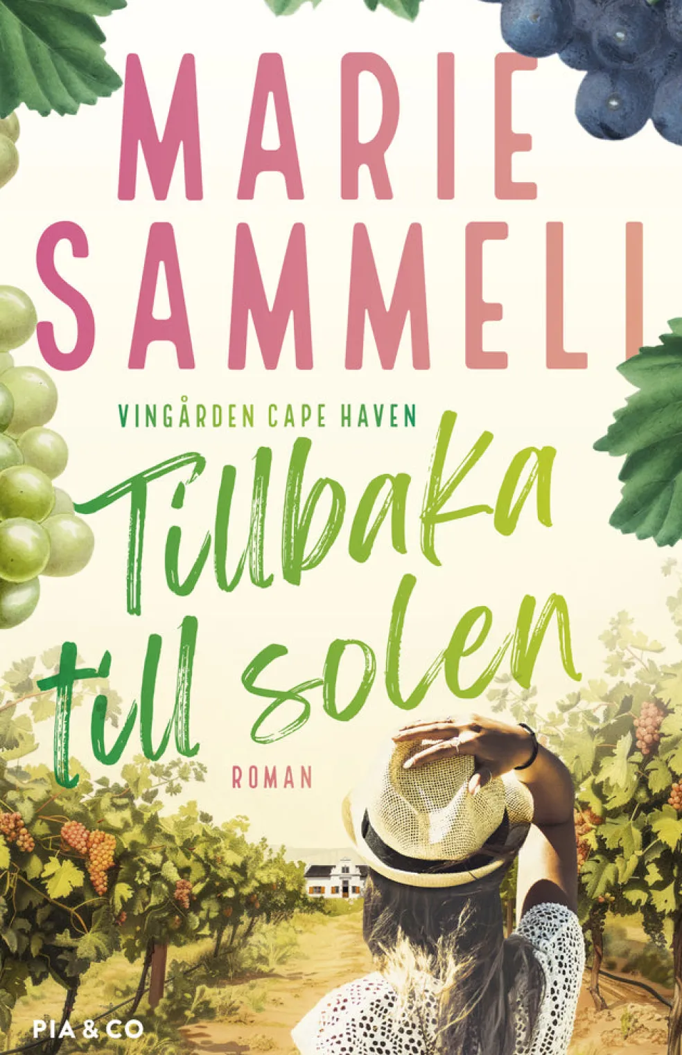 Tillbaka till solen