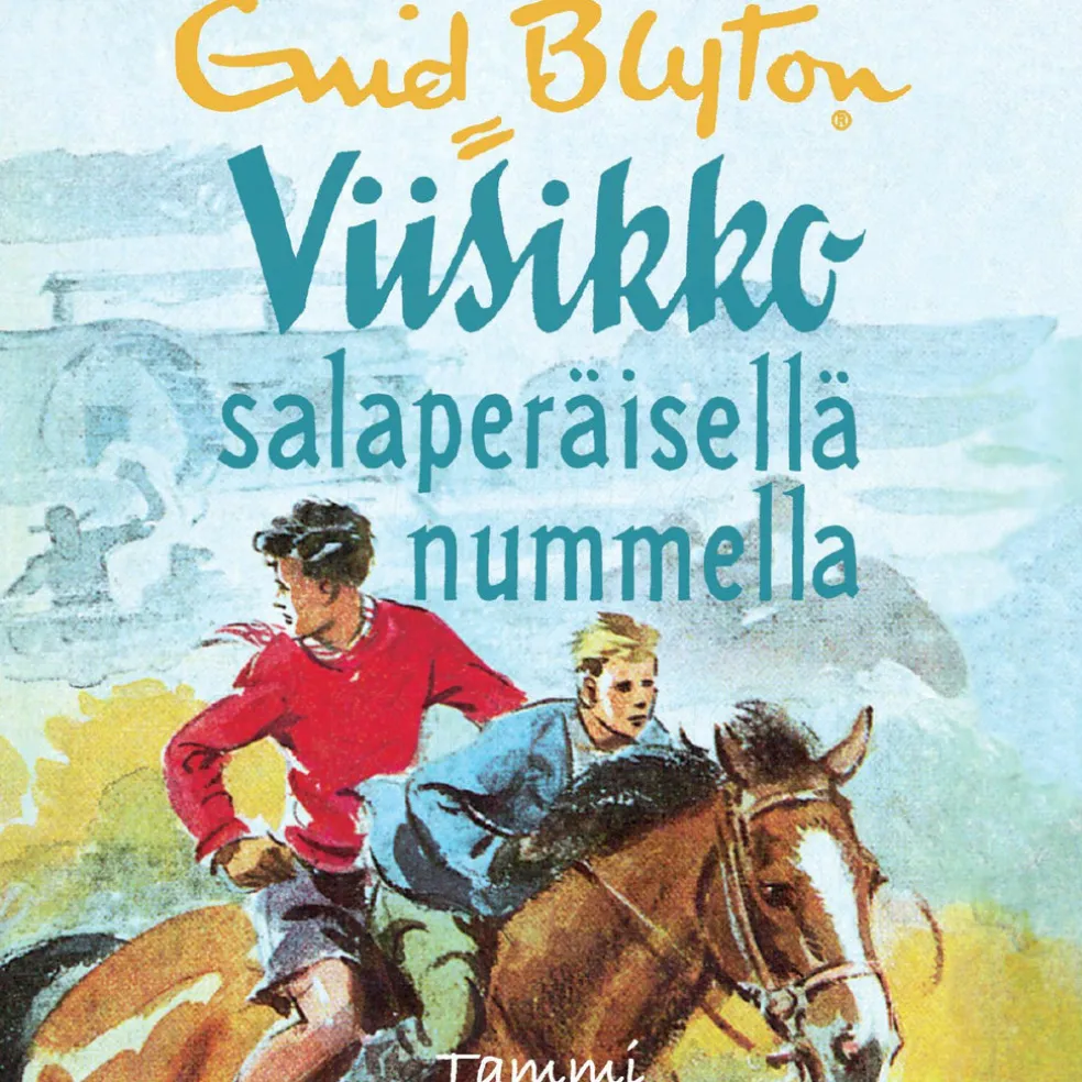 Viisikko salaperäisellä nummella
