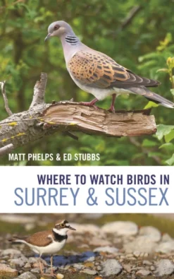 Where to Watch Birds in Surrey and Sussex
