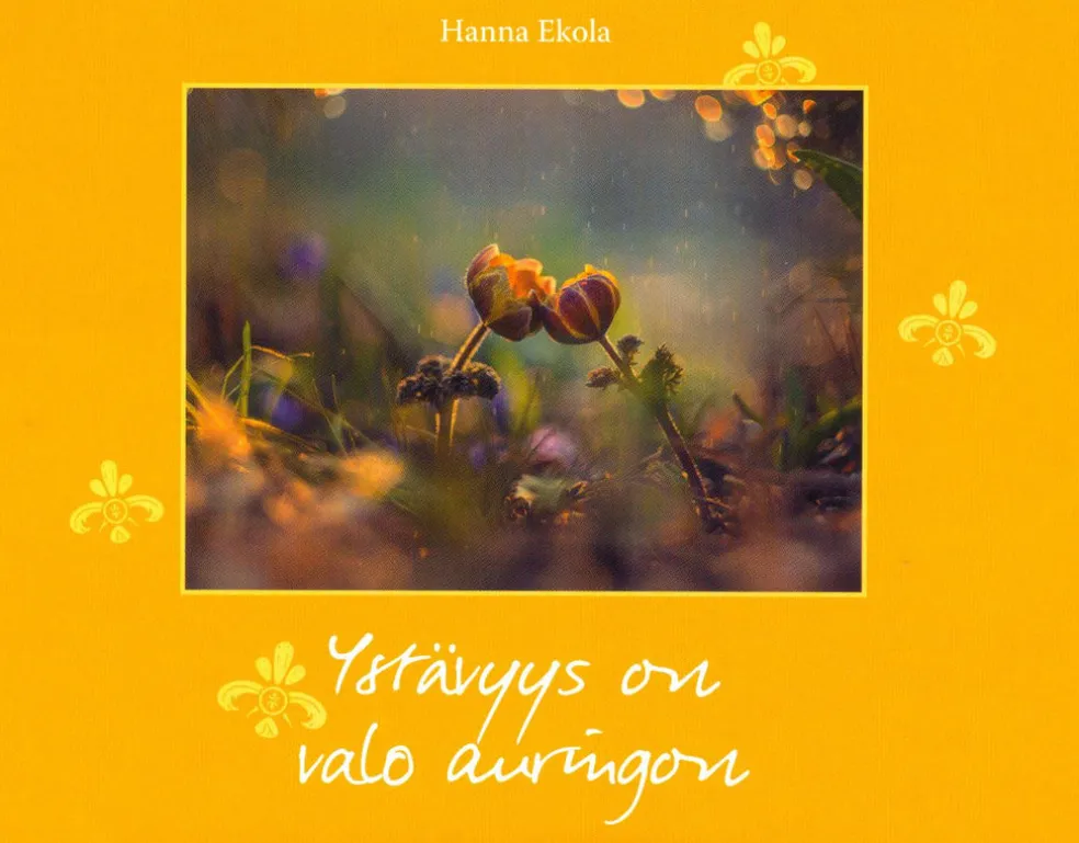Ystävyys on valo auringon