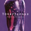 Yövartiossa